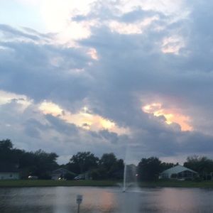 Meet your Posher, Alexia